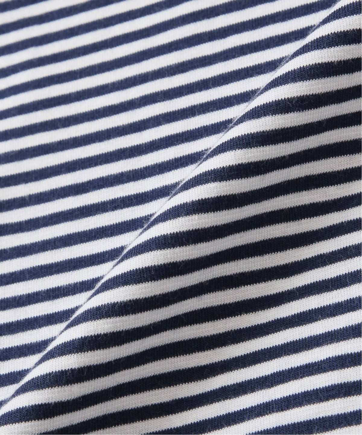 NAUTILES / ノーチラス